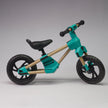 Holz-Laufrad 