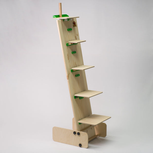 König Norbert - Das Spiel der Ehre