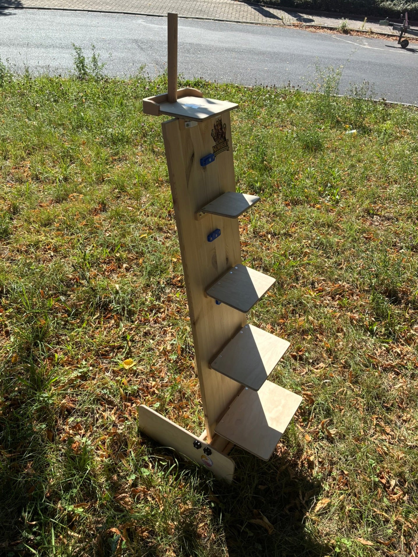 König Norbert - Das Spiel der Ehre