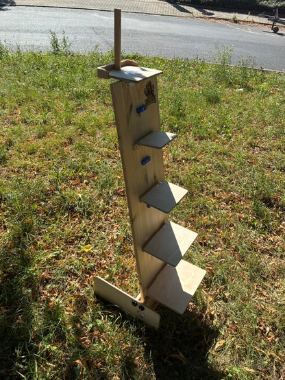 König Norbert - Das Spiel der Ehre